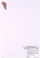 藏品(條斑紫菜)的圖片